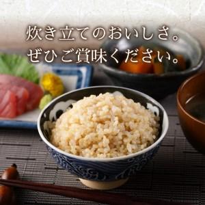 ふるさと納税 a35-002　令和5年産新米 玄米 20kg コシヒカリ 静岡県焼津市