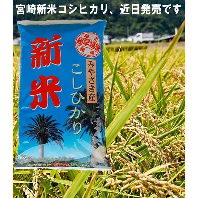 新米 宮崎産 コシヒカリ 九州米 令和5年産 白米5kg×2袋  送料無料（但し北海道、沖縄県他一部離島は別途）