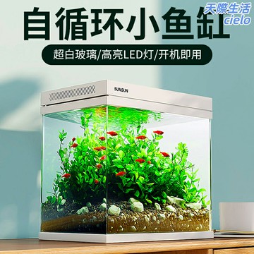 【懶人自循環】桌面魚缸 小型魚缸 超白玻璃魚缸 水族箱 過濾製氧一體機 免換水生態缸 靜音低耗 客廳辦公室桌面裝飾