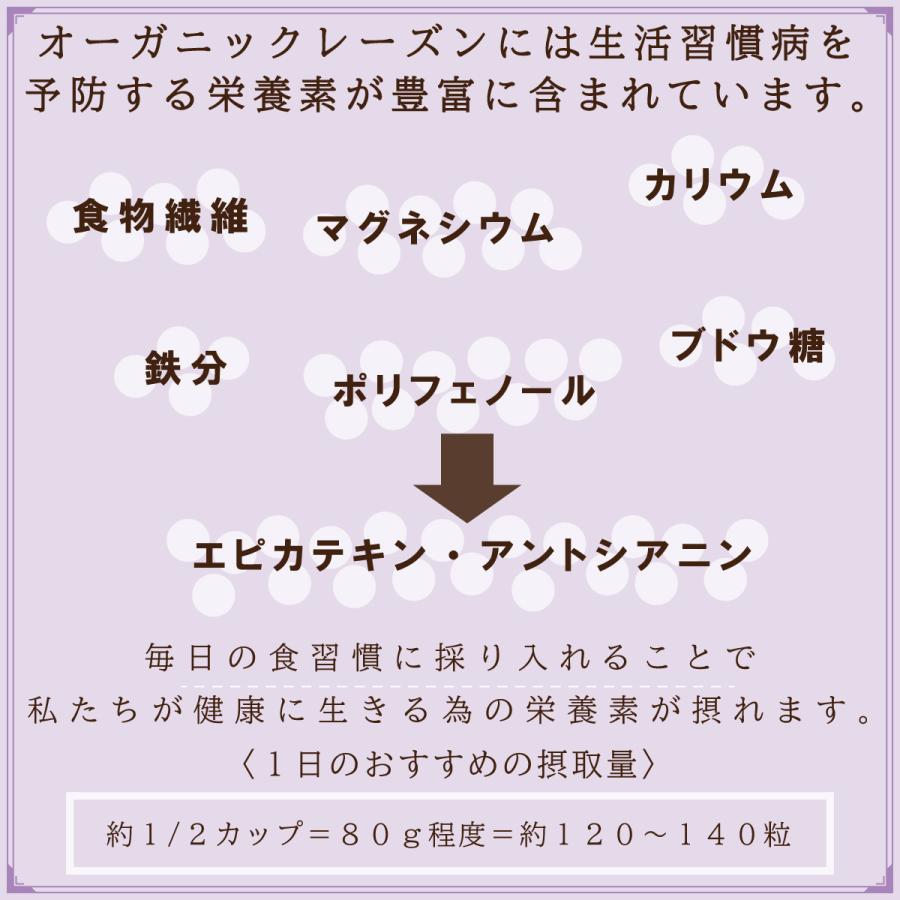 オーガニックレーズン200g 500g 有機JAS認証 無添加 砂糖不使用 ノンオイル カリフォルニア産