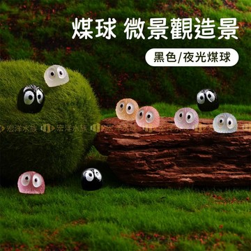宏洋水族【夜光煤球 小精靈👀 微景觀】造景 魚缸裝飾 蘚苔缸 水草缸 生態缸 多肉盆栽 水族裝飾 水族造景 魚缸造景