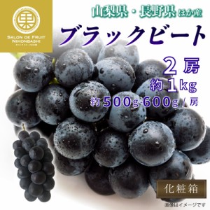 [最短順次発送]   ブラックビート ぶどう 2房 約1kg 約500g ×2 山梨県 長野県 化粧 の味覚 葡萄  大粒 フルーツ 秋ギフト  果実ギフト