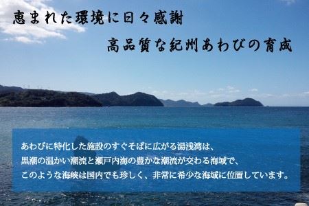 極上！紀州蝦夷鮑×8個　五つ星旅館にも出荷される極上アワビ