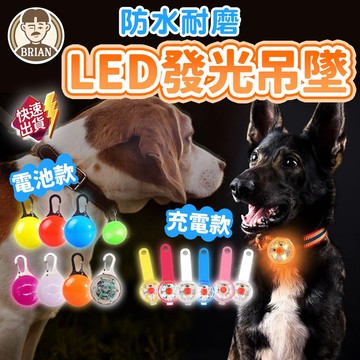 LED發光吊墜【布萊恩👨🏻隔日到貨】夜光吊墜 發光吊墜 發光掛飾 寵物外出發光吊墜 寵物外出用品 電燈 寵物用品