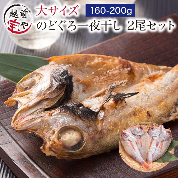 お歳暮 2023 ギフト 御歳暮 のどぐろ 魚 干物  160-200g×2枚 セット ノドグロ 干物セット 無添加 一夜干し魚 ((冷凍)) プレゼント ギフト