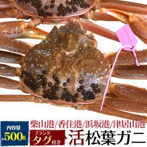 松葉ガニ 約500g 1杯 活 カニ ブランドタグ付き 松葉ガニ 産地直送 活蟹 丸ごと ズワイガニ 殻付き 活けカニ 活けガニ カニ鍋 お刺身OK