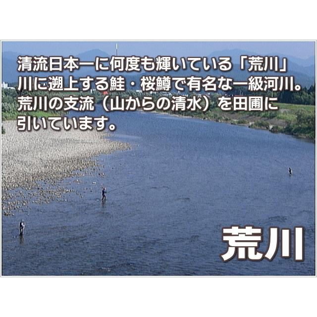 玄米 農薬無使用 コシヒカリ 5kg   希少米 合鴨農法 新潟 岩船産 令和5年産 新米   人気 おいしい 新潟米 こしひかり 送料無料