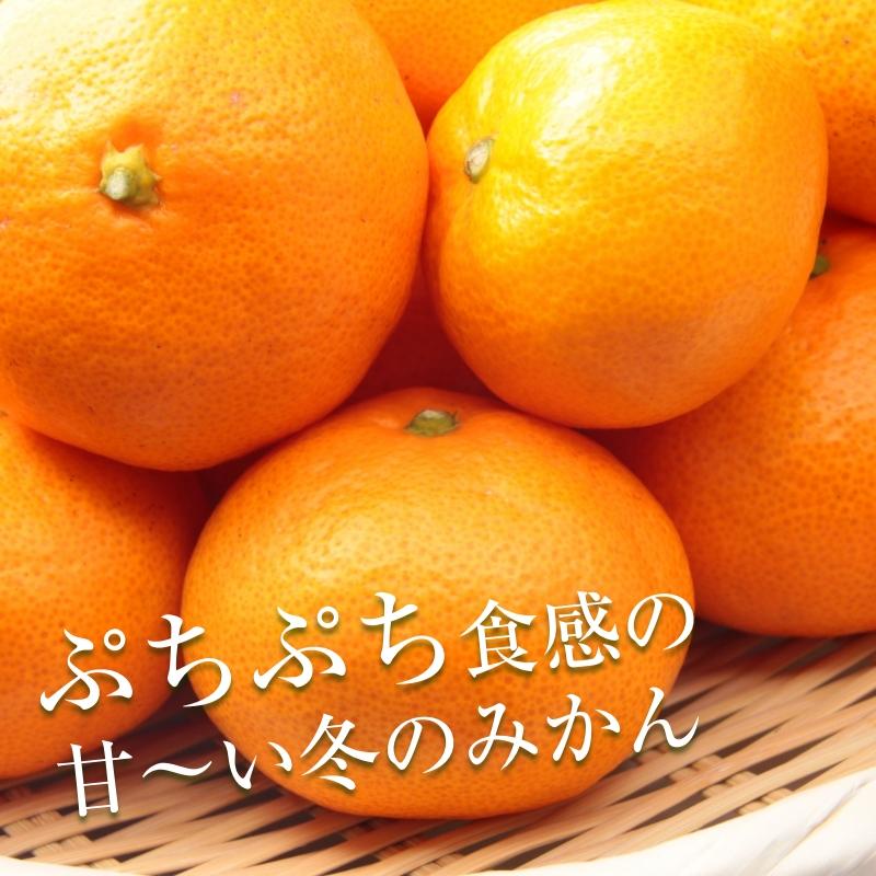 みかん 温州みかん 7kg 家庭用 2S~2L混 約50~80玉 愛媛県産みかん 産地直送 送料無料 お歳暮 2023 お歳暮2023 ギフト グルメ