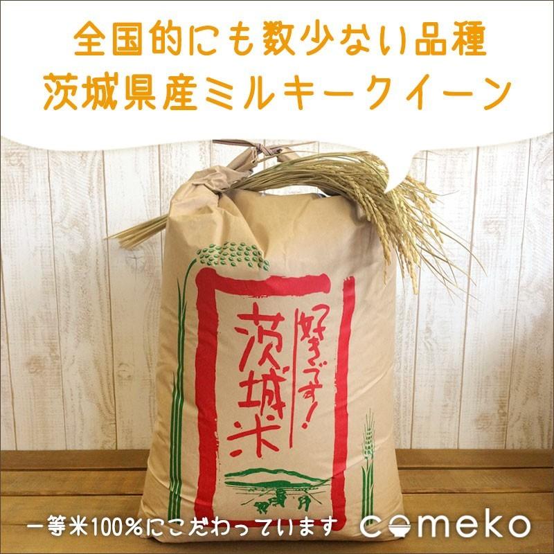 ミルキークイーン 玄米30ｋｇ 令和５年産 送料無料　茨城県産 冷めても美味しい お弁当 おにぎり お米 米 おいしい 玄米 白米　もちもち