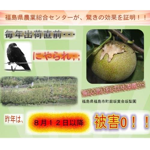 カラスなぜ逃げる 強力タイプKS