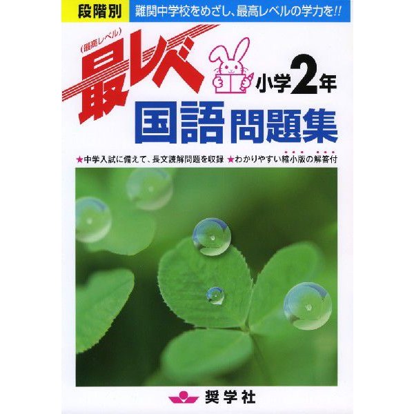 最レベ国語問題集小学2年 段階別