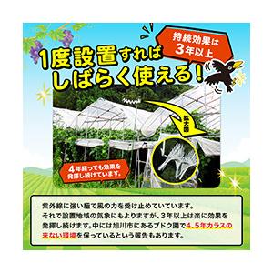 カラスなぜ逃げる 園芸用 家庭菜園 畑 設置簡単 撃退率98%以上 カラス 撃退 対策