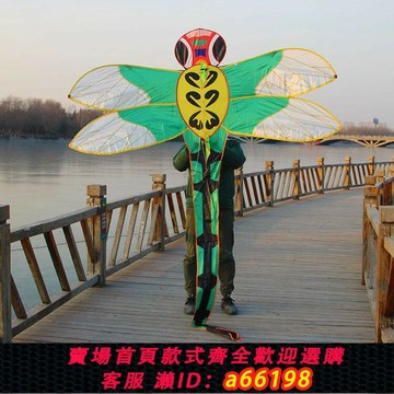 【台灣公司 可開發票】2019年濰坊新款蜻蜓風箏 成人大型動物造型風箏 飛云風箏