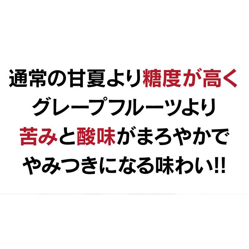 紅甘夏 べにあまなつ みかん 5kg 農家直送 ＜2月上旬より順次出荷＞ 送料無料 熊本県産 果物 フルーツ 大嶌屋（おおしまや）