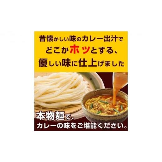 ふるさと納税 香川県 丸亀市 [No.5341-0563]丸亀のカレーうどん 4人前（スープ付）　本場の製麺所が本気で作ったカレーうどん