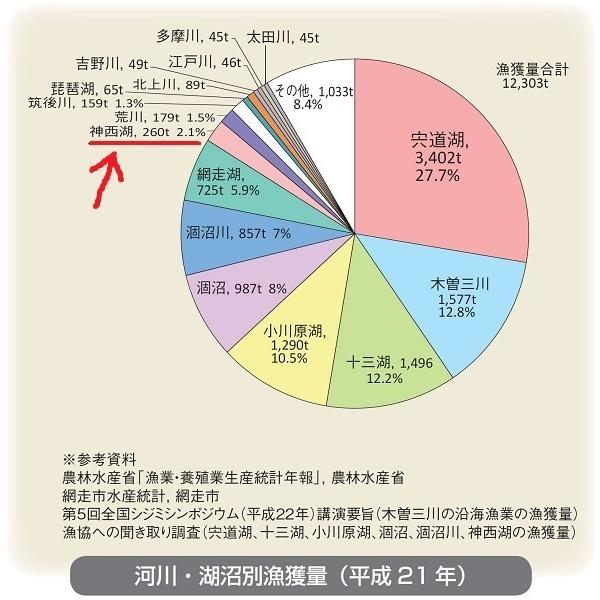 貝類 シジミ 送料無料 島根県 神西湖産 大和しじみ 1kg