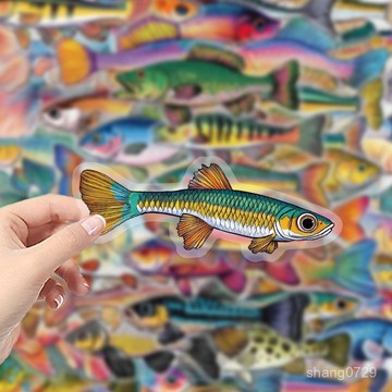 釣魚創意貼紙 裝飾車貼 冰箱貼紙 釣魚人貼紙 釣魚文案貼紙 貼畫50張仿真五彩斑斕熱帶魚小插畵貼紙彩繪海洋小魚diy桌麵