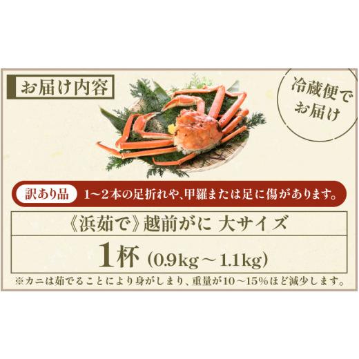 ふるさと納税 福井県 越前町  越前がに本場の越前町からお届け！ 越前がに 浜茹で 大サイズ（生で0.9〜1.1kg） × 1杯【福井県 越…