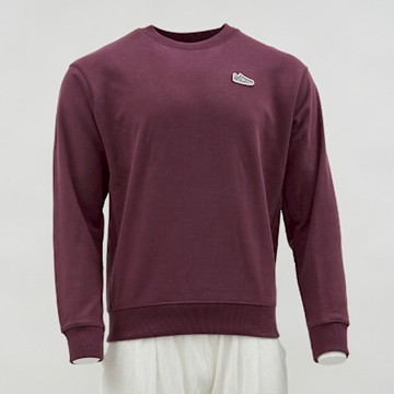 New Balance 男款 紫色 運動 休閒 圖案 上衣 大學T 刺繡 美規 長袖 MT51963FDP