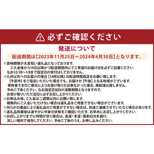 ふるさと納税 熊本県 上天草市 天草産 活車海老 500g