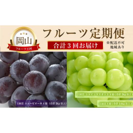 ふるさと納税 岡山県 瀬戸内市 フルーツ 定期便 2024年 先行予約 晴れの国 おかやま の ニュー ピオーネ 4房（2kg以上） シャイン マスカット 4房（2kg以上） …