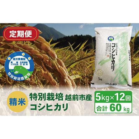 ふるさと納税 〈先行予約〉（令和5年度新米 精米）特別栽培 越前市産コシヒカリ 5kg×12回 福井県越前市