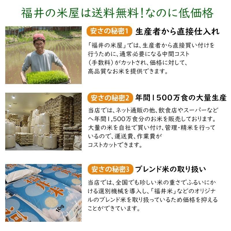 新米 米 10kg 5kg×2袋 ピカツンタ 福井県産 白米 令和5年産 送料無料
