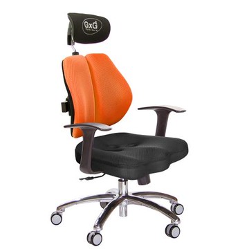 GXG 兩軸枕 雙背美臀椅 (鋁腳/T字扶手)  TW-2534 LUA