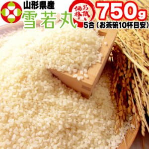 新米 米 お米 ポイント消化 雪若丸 750g (5合) 玄米 令和5年度産 山形県産 送料無料 メール便 ゆうパケ