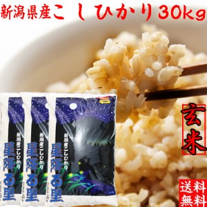 新米 玄米30キロ 送料無料 令和5年 新潟産 コシヒカリ 玄米 30kg 送料無料 米 玄米 コシヒカリ 新潟産 こしひかり 30キロ 玄米 10キロ×3