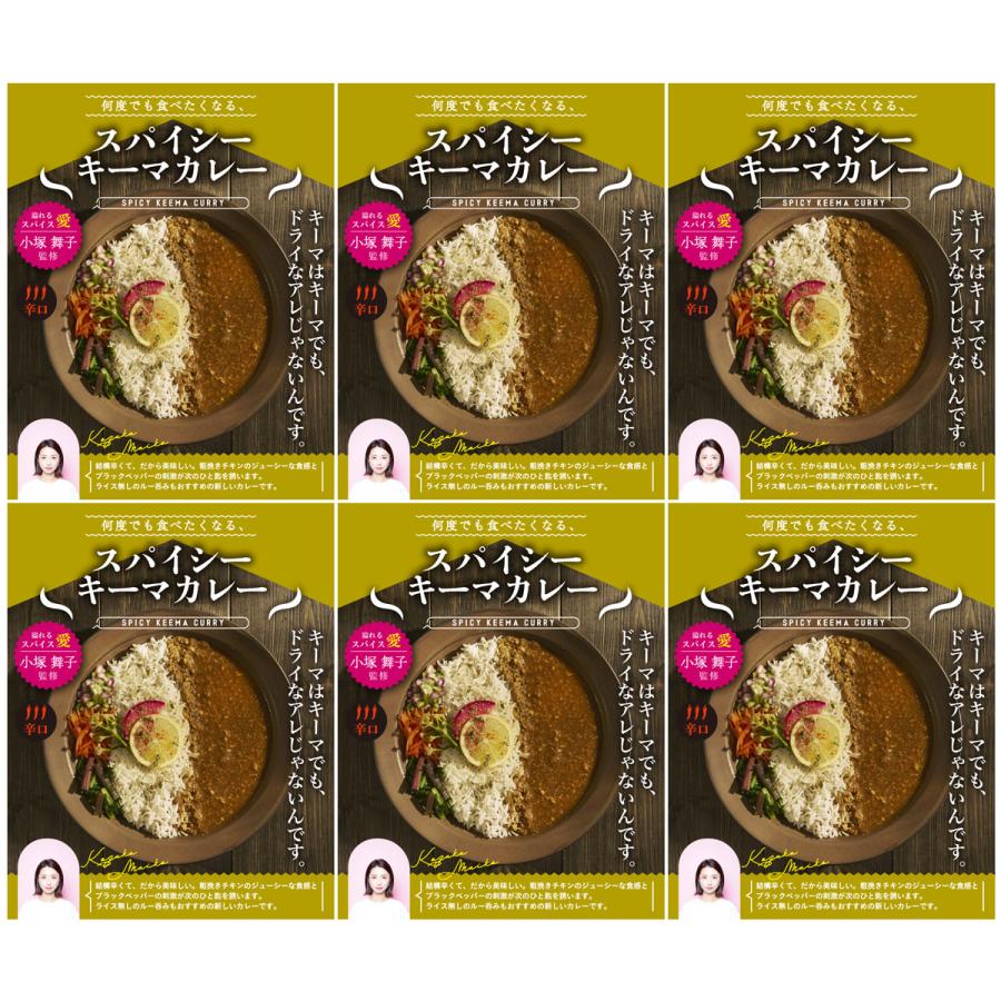 何度でも食べたくなるスパイシーキーマカレー 6食 セット レトルトカレー