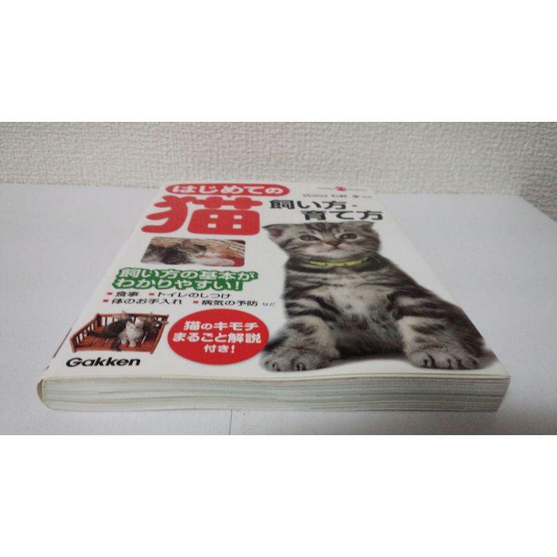 はじめての猫 飼い方・育て方