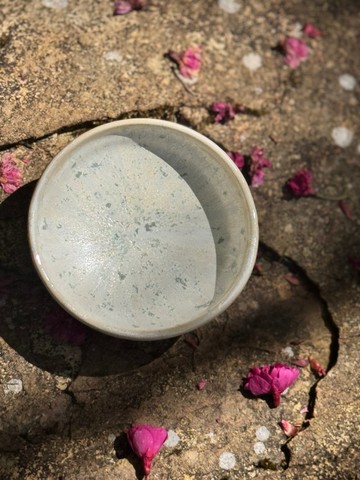 白花花鹽礦系小碟子