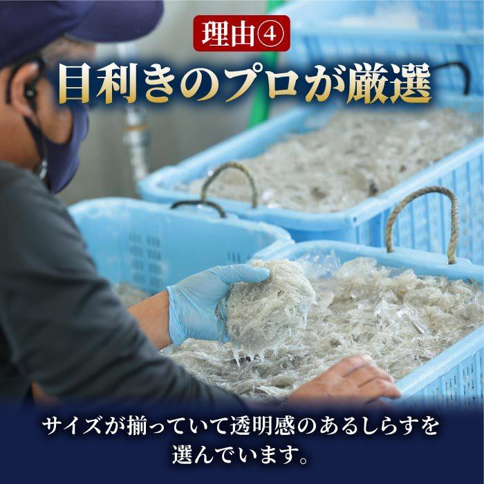 鮮度抜群！静岡県産 生しらす＆釜揚げしらす1kgセット シラス しらす 生シラス 釜揚げ 冷凍 用宗港 駿河湾 しらす丼 静岡産 グルメ