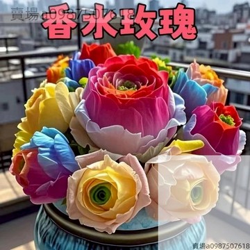 12h出貨 香水玫瑰多肉 新品優雅香水玫瑰 山地多肉種子 四季種植群生山地玫瑰多肉室內陽台辦公室桌面防輻射花卉種子 好養