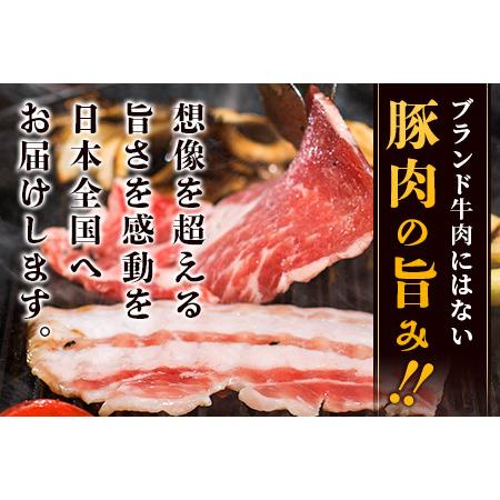 ふるさと納税 石垣島産アグー豚の定期便（3月、7月、11月お届け）　E-30 沖縄県石垣市