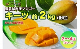 キーツマンゴー約2kg（化粧）