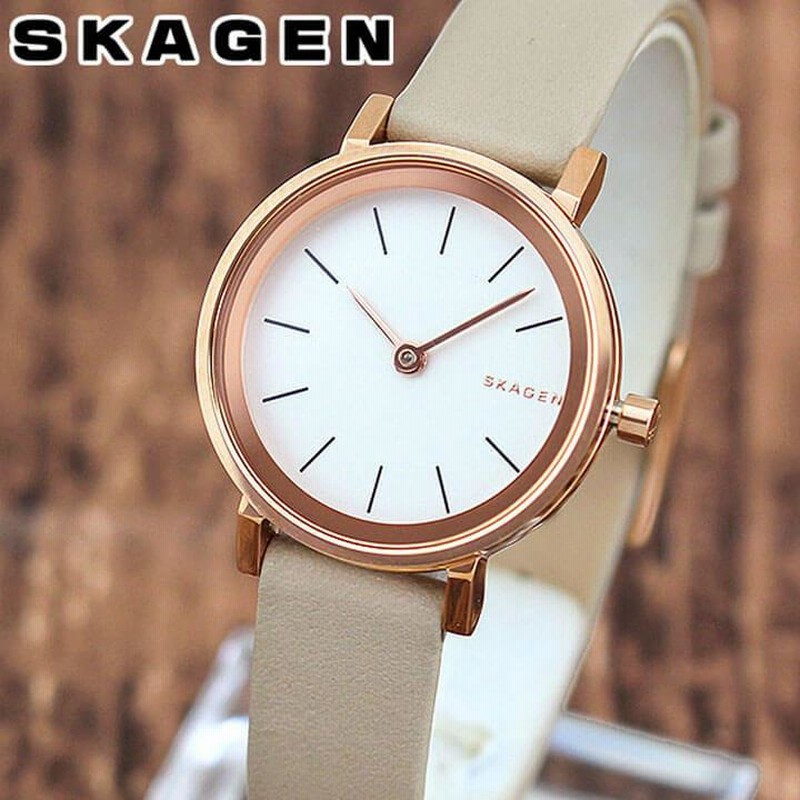 SKAGEN スカーゲン HALD ハルド SKW2494 海外モデル アナログ