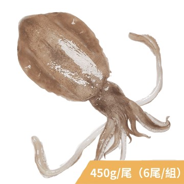 [凍凍鮮] 菲律賓軟絲 450g/尾  （6尾/組）-[凍凍鮮] 菲律賓軟絲 450g/尾  （6尾/組）