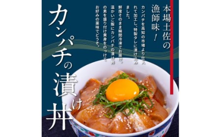 高知の海鮮丼の素「かんぱちの漬け丼の素」1食80g×5P 勘八 カンパチ 惣菜 そうざい 冷凍 保存食 海鮮 小分け パック 本場 高知 海鮮丼 パパッと 簡単 一人暮らしコロナ 緊急支援〈高知市共通返礼品〉