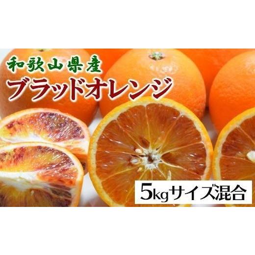 ふるさと納税 和歌山県 上富田町 国産濃厚ブラッドオレンジ「タロッコ種」5kg★2024年4月中旬頃より順次発送予定