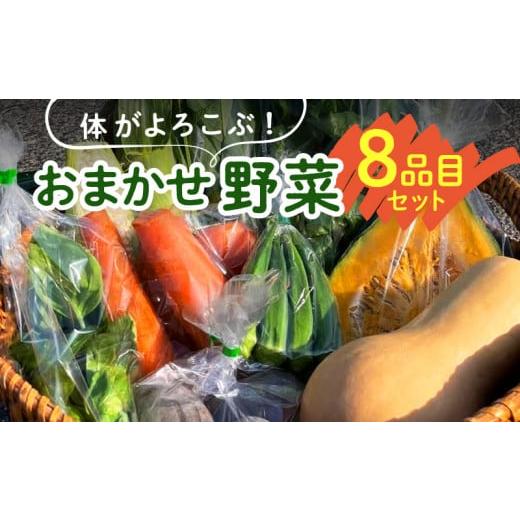 ふるさと納税 福岡県 久留米市 体がよろこぶ！おまかせ野菜８品目セット