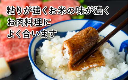  田村産 コシヒカリ 白米 20kg 5kg × 4袋 お米 福島県 田村市 田村 贈答 美味しい 米 kome コメご飯 特Aランク フードロス SDGs 一等米 単一米 精米 国産 おすすめ お中元 送料無料 緊急支援品 生活応援 コロナ支援 ふぁせるたむら