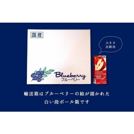 ふるさと納税 樹上完熟フレッシュブルーベリー （無農薬・殺虫剤不使用） 125ｇ×4 石川県金沢市