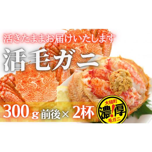 ふるさと納税 岩手県 大槌町 三陸産 三陸活毛ガニ 300g×2杯（2尾）　天然 国産 冷蔵 三陸 直送 濃厚 かに 蟹 カニ 毛ガニ 毛蟹 毛が…