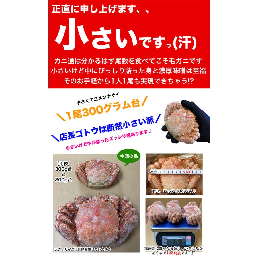 毛ガニ 3尾 合計1kg前後 北海道産 国産 カニ味噌 毛蟹 ボイル みそ かに カニ 蟹 kegani けがに 毛がに kani crab 堅