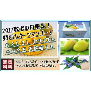 [最短順次発送]  沖縄県産 キーツマンゴー ２玉化粧箱 幻のマンゴー  沖縄マンゴー 夏ギフト お中元 御中元