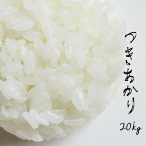 新米  米 20kg 青森県産 5年産 特別栽培米 つきあかり 白米20kg（5kg×4） 