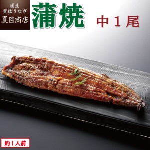 うなぎ 国産 蒲焼き 中115-130g×1尾 約1人前 豊橋うなぎ ウナギ 鰻 送料無料 お歳暮 クリスマス 誕生日 プレゼント 食べ物 真空パック