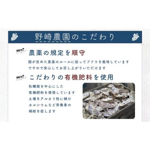 ふるさと納税 北海道 余市町 Bセット　